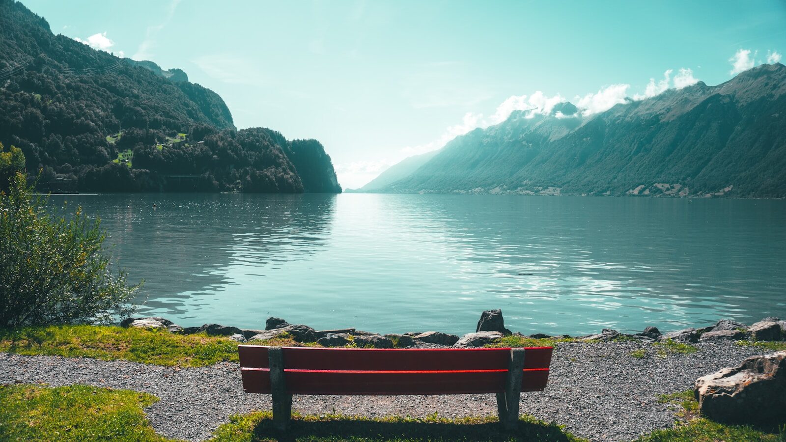 brown bench beside body of water